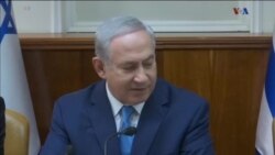 اخبار شامگاهی