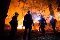 California'nın Boulder Creek bölgesinde itfaiyeciler yerleşim bölgesine yaklaşan yangınla mücadeleye hazırlanıyor.