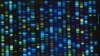 Scientists Release New Accounting of Human Genome