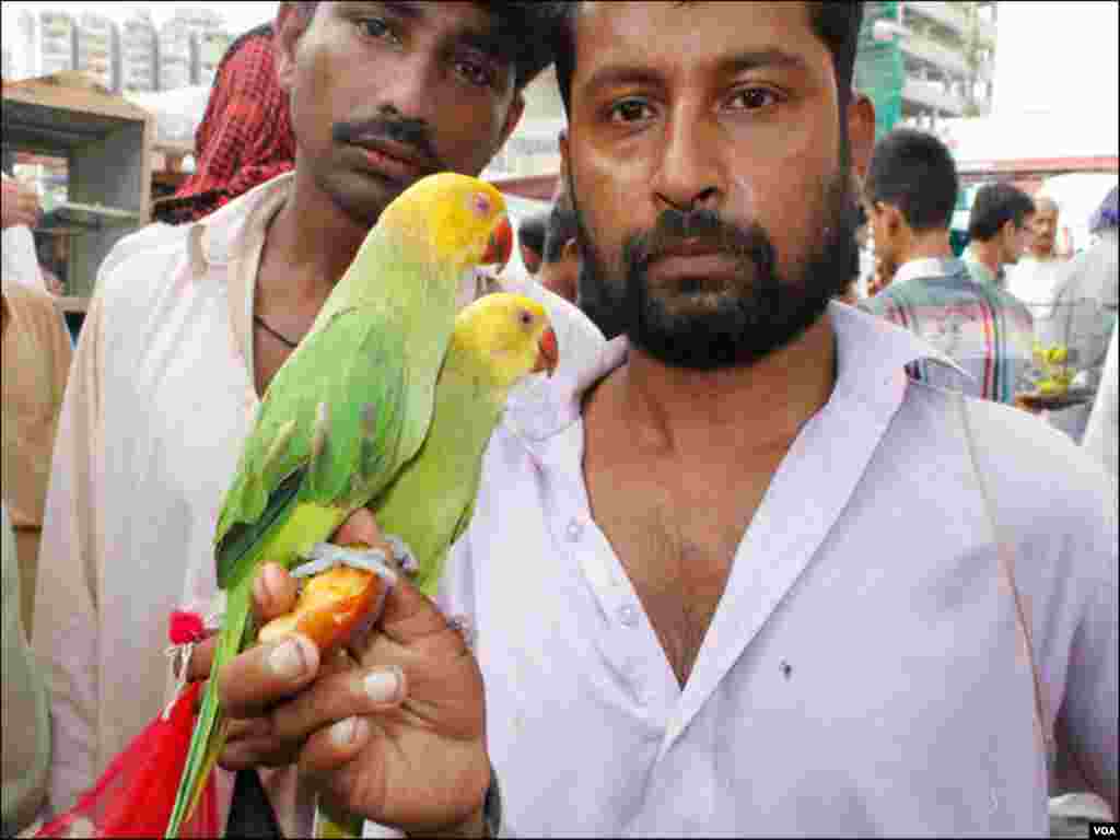 دو افراد اپنے پالتو طوطے فروخت کے کیلئے لائے ہیں
