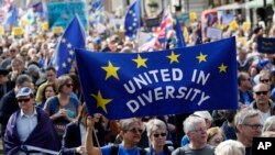 Anti Brexit campaigners carry flags and banners as they march towards Britain's parliament in London, March 25, 2017. Britain's Prime Minister Theresa May is expected to start the process of leaving the European Union March 29. 