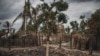 EUA designam rebeldes de Cabo Delgado terroristas e avisam a quem os esteja a ajudar
