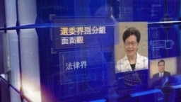 A still from the opening sequence of 'Get to Know the Election Committee Subsectors', a program on Radio Television Hong Kong