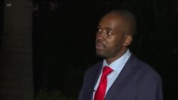 VaNelson Chamisa veMDC Alliance Voenderera Mberi Vachiramba Zvakabuda Musaradzo