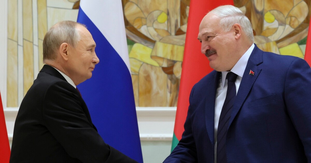 Tangali katta eshaklar fotosuratlari