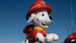 Handlers fly a new balloon of Marshall, the puppy firefighter and paramedic from the animated show PAW Patrol, in East Rutherford, New Jersey, on Nov. 2, 2024.