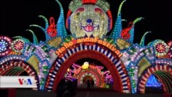 Panda Festival li New York