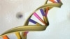 Story Behind DNA Double Helix Discovery Gets New Twist 