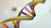 Scientists Use Pocket-size Device to Map Human Genetic Code
