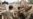 Pakistan Flood Damage Assessed at $9.5 Billion