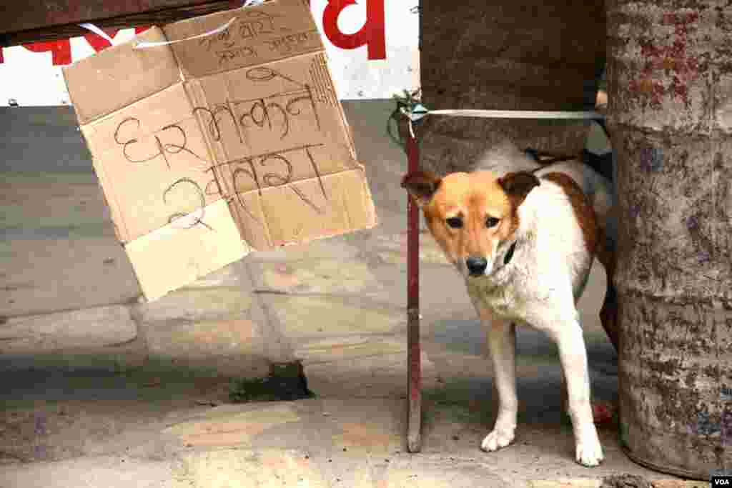 The sign reads "danger of houses falling down" at Tyouda, Asan, Kathmandu, April 27, 2015. (Bikas Rauniar/VOA)