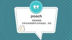 学个词 - poach