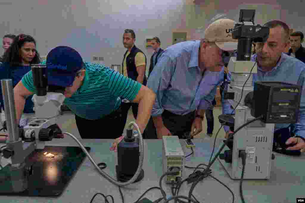 U.S. and Egyptian officials get a microscopic look at objects unearthed from the excavations. (Photo: H. Elrasam)