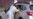 16x9 Image