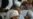 Scottish Minister: No Plans for Lockerbie Bomber Extradition