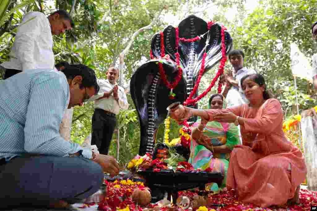 Hindu devotees offer prayers at a snake temple during Nag Panchami festival in Ahmedabad, India, Aug. 27, 2021.