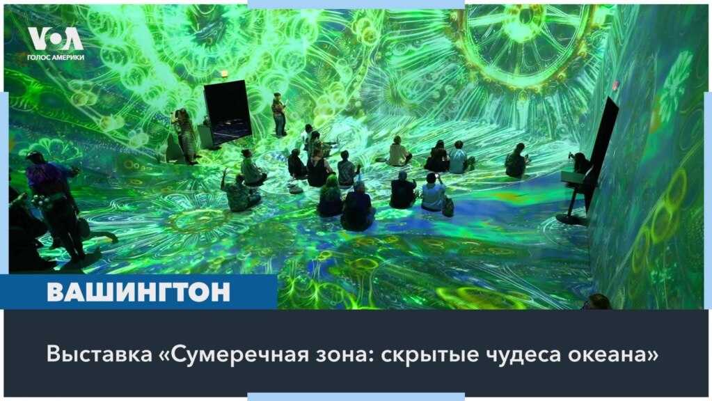 «Сумеречная зона»: иммерсивная выставка погружает в таинственные океанские глубины 