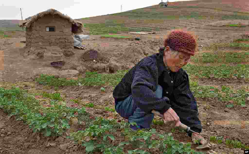 [오늘의 북한] 주민들의 생활상