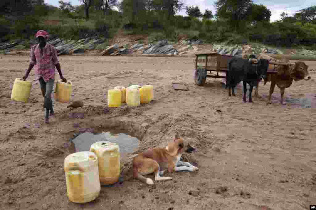 A man carries jugs to fetch water from a hole in the sandy riverbed in Makueni County, Kenya, Feb. 29, 2024.