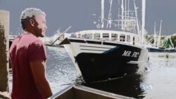 Big Shrimpin' on the Bayou