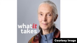 What it Takes - Jane Goodall