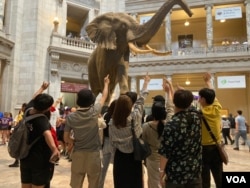 참가자들이 미국 워싱턴의 자연사박물관을 방문했다.