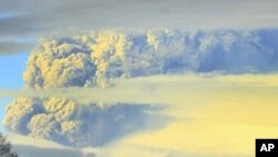 A column of smoke and ashes comes out from the Puyehue volcano, about 1,000 kilometers south of Santiago, Chile, Saturday, June 4, 2011.