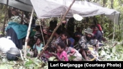 Masyarakat Nduga bersembunyi di hutan selama TNI-Polri melakukan pengejaran kelompok Egianus Kogoya, di Mapenduma, Kabupaten Nduga, Provinsi Papua, Desember 2018. (Courtesy Photo: Leri Gwijangge)