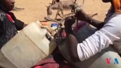 Iriba fait face à de sérieuses conséquences climatiques au Tchad (vidéo)