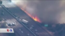 Kurd Connection 16 11 2018