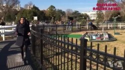 Mobil-salom: Nyu-Yorkda katta jinoiy tizim fosh etildi