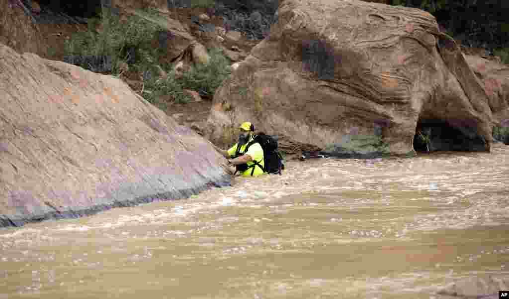 کارمندان نجات در دریای ویرجین ایالت یوتا در تلاش یافتن حیواناتی اند که طعمۀ سیلاب در پارک ملی زیون آن ایالت شدند.