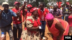 MDC supporters at a rally in Chinhoyi.
