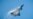 歼-20和F-35曾在东中国海相会,是“不期而遇”还是另有“背景”?