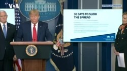 Прямая трансляция пресс-конференции рабочей группы по коронавирусу (31 марта) Часть 1