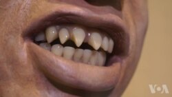 巴尔的摩博牙医物馆揭示牙齿历史