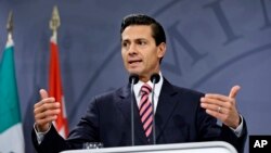 FILE - Mexican President Enrique Pena Nieto speaks during a press conference in Copenhagen, April 14, 2016.