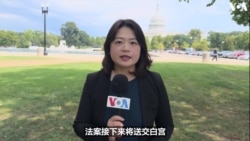 美众院通过俄罗斯制裁法案，下一步送交白宫