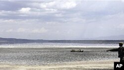 가뭄으로 호수가에서 죽은 버팔로