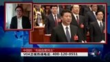 时事大家谈：中国的“毛细血管民主”