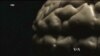 New TV Program Explores the Human Brain