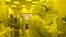 Researchers work in a clean room at the expanded University of Michigan Lurie Nanofabrication Facility in Ann Arbor, Michigan, April 10, 2008.