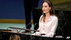 La actriz Angelina Jolie visita la frontera colombo-venezolana el viernes. 