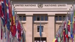 Netewên Yekgirtî: Koçberî û Şîdeta li Dij Xelkê Sûriyê Berdewame