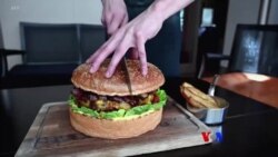 ဒေါ်လာ ၉၀၀ တန် ဘာဂါ၊ တောထဲက ကြိမ်ထိုင်ခုံမျှော်စင်