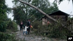 Sebuah pohon tumbang akibat hantaman Badai Iota di Siuna, Nikaragua, Selasa, 17 November 2020.
