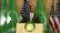 Obama: Africa's Progress Depends on Development, Democracy