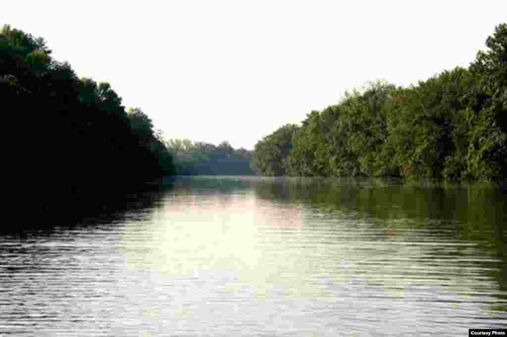 Bagian-bagian Anacostia telah menjadi wilayah kesukaan mereka yang berperahu, seperti pemandangan dekat Taman Bladensburg di Maryland ini. (Anacostia Watershed Society)