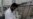 Libyan Opposition Moves Westward, as Bloody Uprising Continues