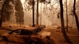 Incendios forestale causan víctimas y destrucción